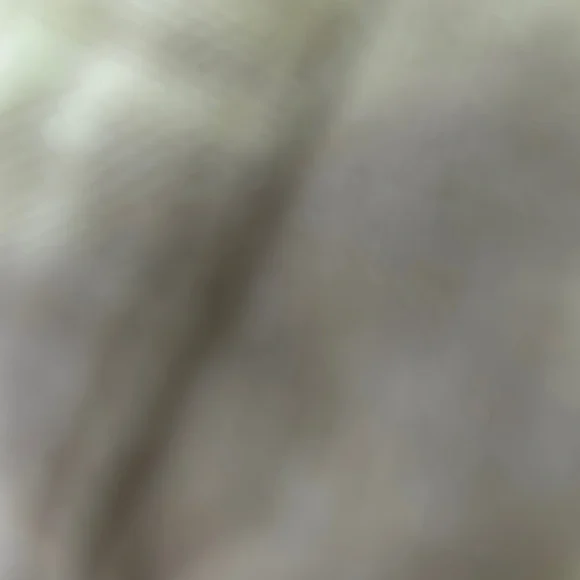 NWOT Tan Relaxed Shorts with Elastic Waist - Picture 2 of 6